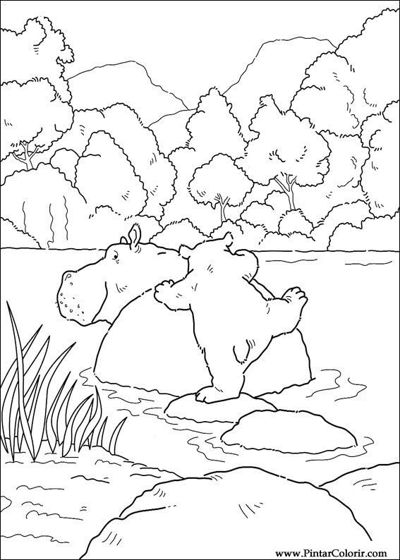 dibujos para pintar y color oso polar  diseño de